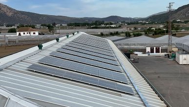 Nuestro Señor de las Tres Marías Cooperativa Agrícola